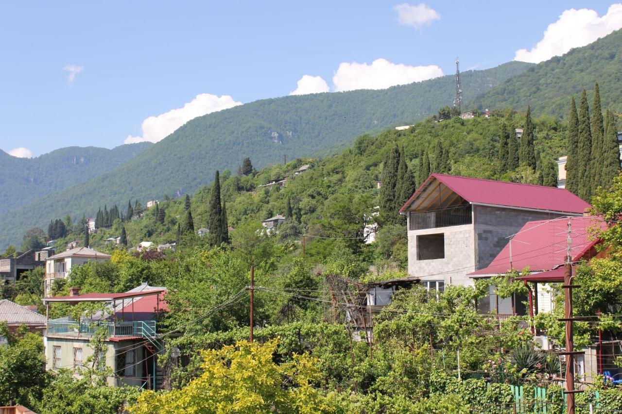 Guest House Zvanba Гагра Екстер'єр фото